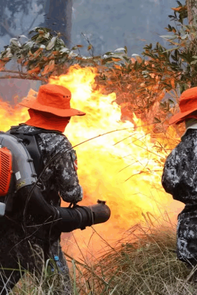Advogado de Fernandinho Beira-Mar, família de banqueiro: veja a lista dos donos de fazenda investigados por incêndios no Pantanal.