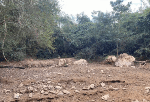 Trecho de rio com águas cristalinas seca e expõe morte de animais em MS; veja ANTES e DEPOIS.
