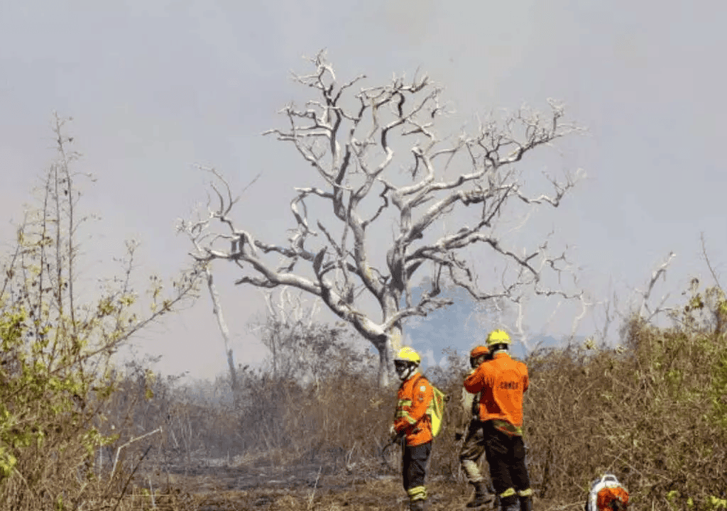 Novo grande incêndio no Pantanal do Porto Maracangalha mobiliza bombeiros.