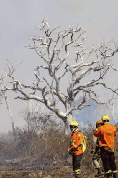 Novo grande incêndio no Pantanal do Porto Maracangalha mobiliza bombeiros.