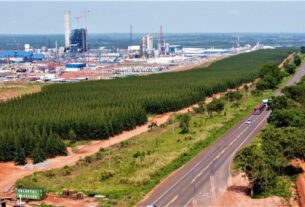 Ribas do Rio Parto fábrica da Suzano - Foto Saul Schramm