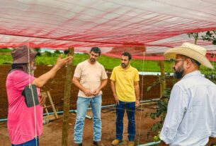 Apoio ao produtor rural: Secretaria de Desenvolvimento Econômico reforça atendimento no campo