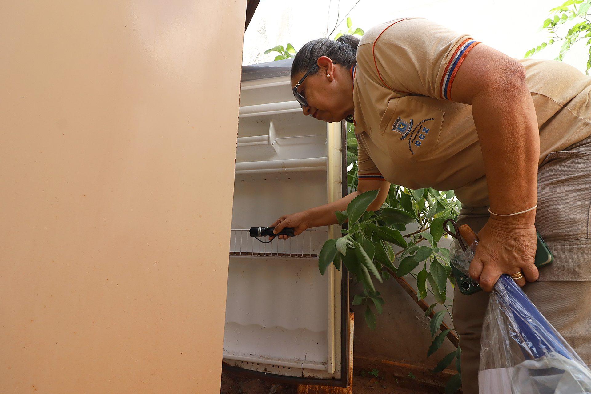 Combate a Dengue